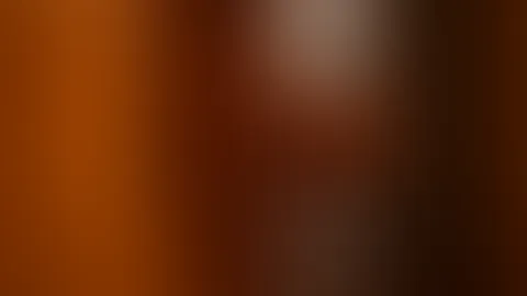 Ab morgen in Wien , ich freue mich auf den Videorudi