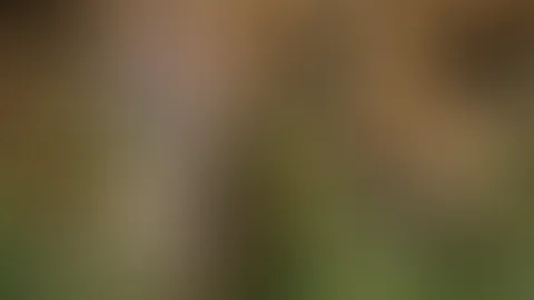Willst du mit Farmgirl JoJo noch ein bisschen "Holz" machen?
