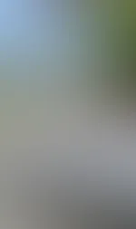 Urlaub auf Malle