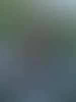 Guten Morgen 🤭