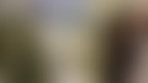 Türchen fünfzehn 🎄mach mich unterwegs zur Lushbitch 🥰 heute gibt's den halben Tag den Lush wieder alle Stufen für 1€ 🎄mach mich wach 🤪🎅🏽 erst werde ich früh für euch Live sein und dann geht's u