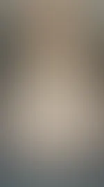 P***y đ„”