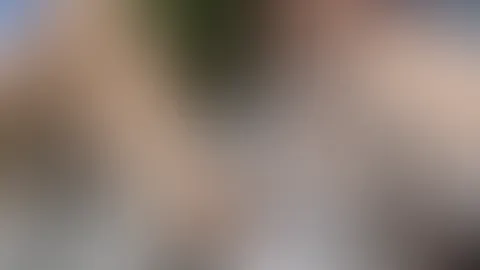 Draußen ist es doch einfach am schönsten 😼