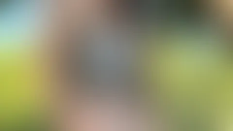 Kroatienurlaub die 2te