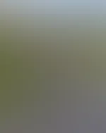 Lass mir doch ein Like dađđ€©đ