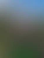 Hey na ☺️ wird mal wieder Zeit für etwas Traktor content 😜🚜🌾 wie gefällt es dir ? 😘