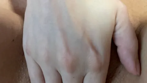 P***y-Bilder Sammlung