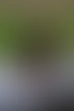 Ich wünsche dir einen schönen Freitag 💋