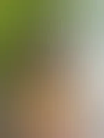 Hey, hattest du einen schönen Samstag?