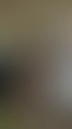 Lust auf mehr ? Dann Stöber mal in meinem Profil 🙈