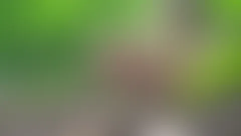 Outdoor M****i w*****n lauter Orgasmus
