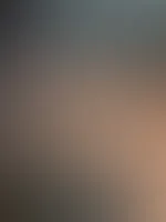 Die Anonyme Wahrheit