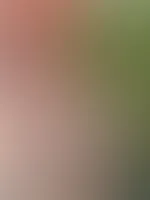 Bereit für ein Heises Abenteuer