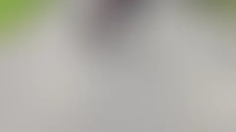 Beim spazieren mit meiner Hündin habe ich meinen Alpha geärgert und ihm mein Po gezeigt 😜