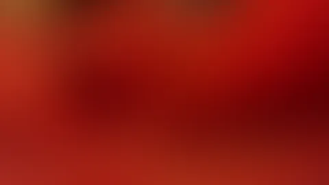 Ich komme mit dem Vibro Ei in mir🥵