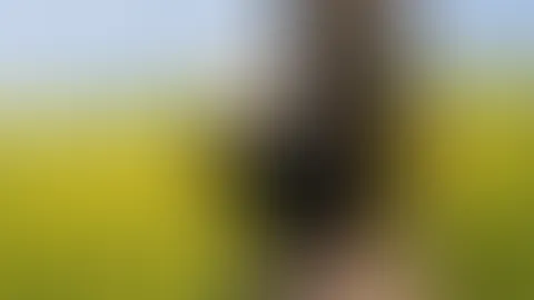 Jetzt mal ehrlich: Nippelklemmen oder -Pumpe? 🤔