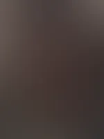 Vorgeschmack auf mein neues Albumđ
đ±đ