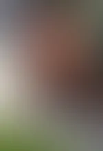 Das Auto putzen oder dogging mit Fremden ? Was glaubst du habe ich da gemacht? đđ