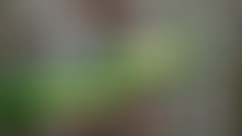 Hulahop mit oben aus ziehen