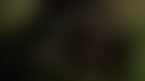 Ich liebe es einfach
