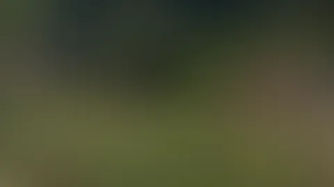 đ„ HeiĂe Begegnung im Steinbruch â°ïžđŠ