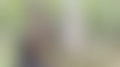 Am Baum ausgepeitscht