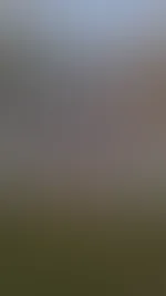 Stehst du auch so auf die schönen Farben im Herbst? đ„°đđ„”