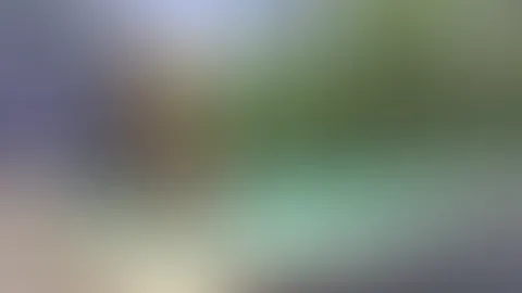 Mein Morgen am Pool