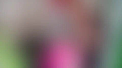 Hausfrau sein macht Spass