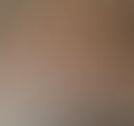 P***yđ