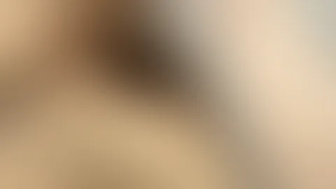 Wünsche dir eine gute Nacht 😴