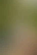 PUHđ€ der Montag hatte es in sich .. aber ich hoffe das Bild bringt dich ganz schnell auf andere Gedanken falls es auch stressig war bei dir đ„”