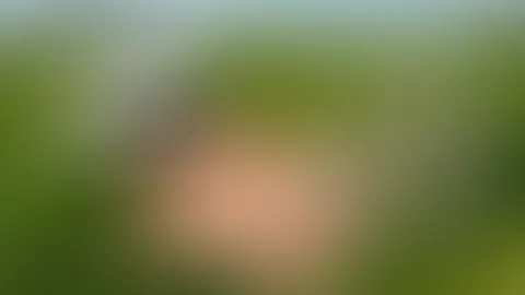 Mit nackten Brüsten in der Frühlingswiese. Mit Sommerhut,weissen Nylons und rosa String liege ich auf der Wiese und lasse meine Boobies baumeln