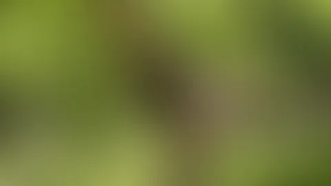 In einem sexy Ganzkörper Netzstrumpf im Wald: ich lasse meine nackten Tittchen etwas frische Luft schnuppern..