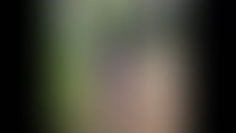 NS - Plätzchen zum p**sen gesucht