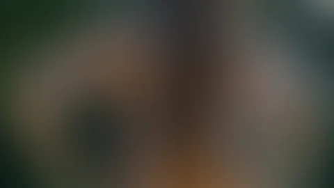 Darf ich dich bei den Temperaturen etwas erfrischen? 💦💦
