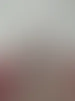 đ» Feed-Edition đ»