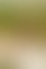 Ein kleiner Einblick was als Nächstes auf euch zu kommt 😋🥰