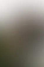 Du lĂ€ufst durch den Wald und siehst mich so im Dachzelt. Was stellst du mit mir an? đ
