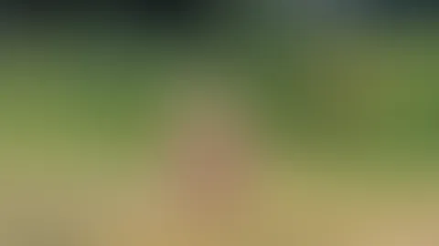 Später Abendgruß aus dem Grünen... 🔥🌿