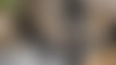 Mal ein kleiner Einblick hinter die Kulissen! 😉