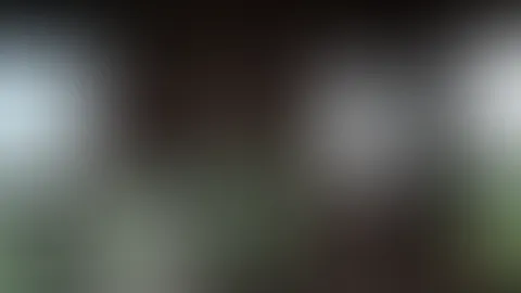 Hier mal ein geiler Zusammenschnitt für dich aus meinen letzten Videos. Der Fokus liegt hier auf meinen großen Naturbrüsten! Schau es dir in Ruhe an, genieße es und schreib mir dann gerne wie geil d