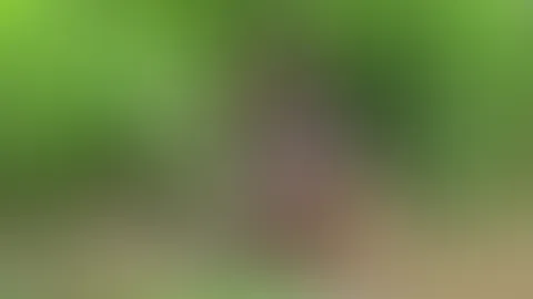 Teil 2. Meine F****r reichten nicht aus, aber ich hatte nur Gemüse in den Händen.