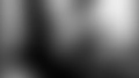 Alte Bilder