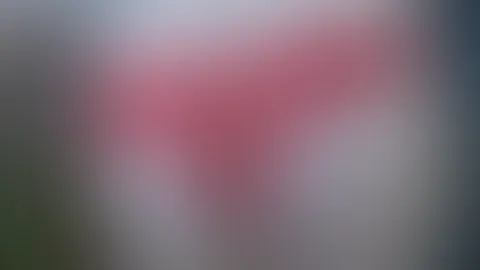 Wie findet ihr mein heutiges höschen