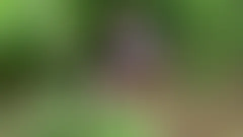 Teil 1. Ich ging im Park spazieren und hatte ein starkes Verlangen, mich selbst zu befriedigen.