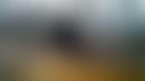 Voyeur im Wald