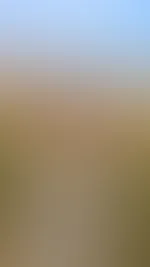 Guten morgen mein Süßer 😘