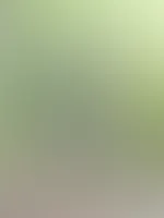 Willst du mehr nackte Haut sehen? Dann gibs mir mehr