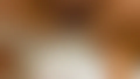 Guten Morgen